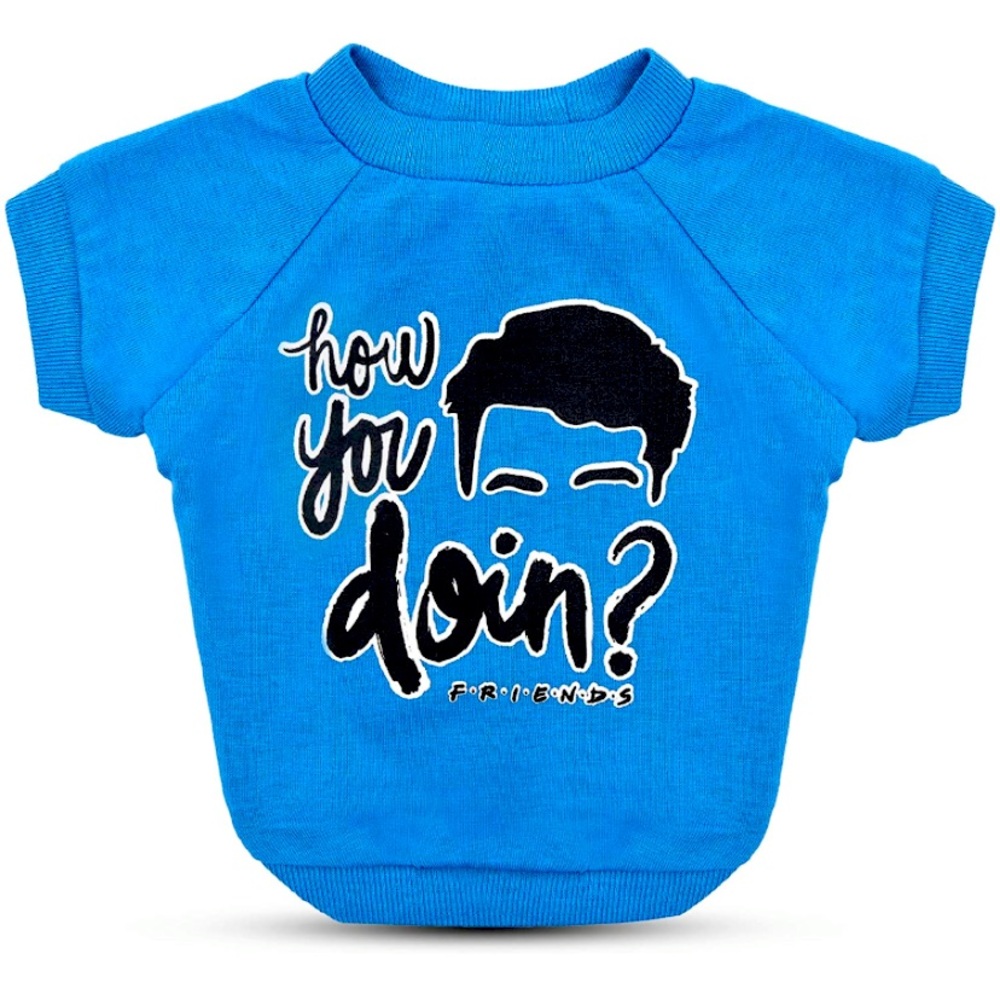 ‘How you doin?’ Dog tee 💙